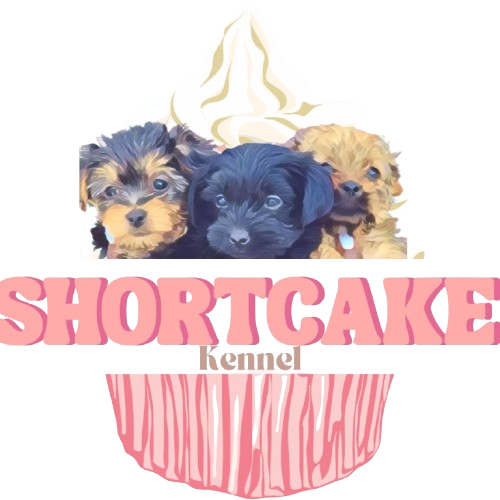 Shortcake Kennels